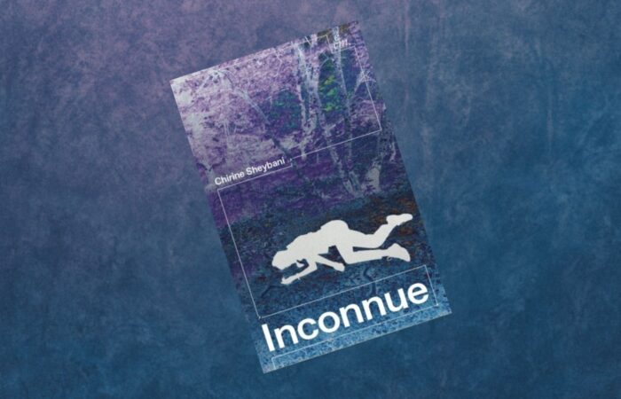 Bibliothèque d'Avully image